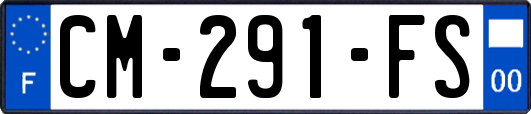 CM-291-FS