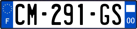 CM-291-GS