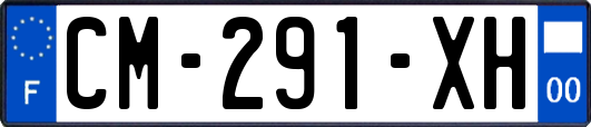 CM-291-XH