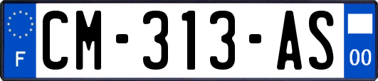 CM-313-AS