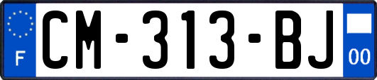 CM-313-BJ