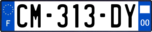 CM-313-DY