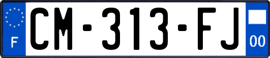 CM-313-FJ
