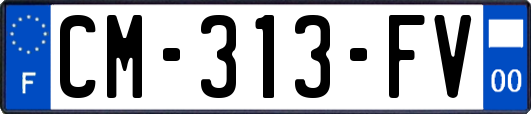 CM-313-FV