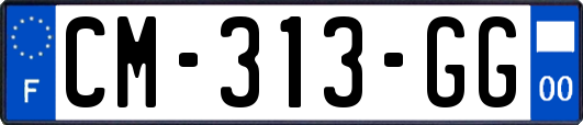 CM-313-GG
