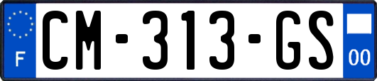 CM-313-GS