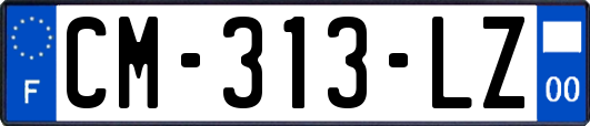 CM-313-LZ