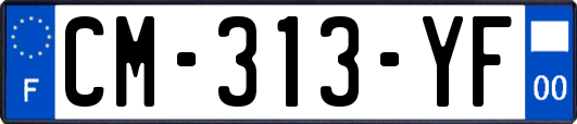 CM-313-YF