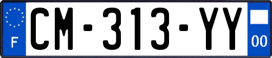 CM-313-YY
