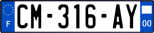 CM-316-AY