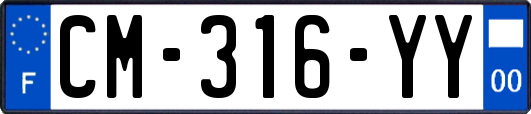CM-316-YY
