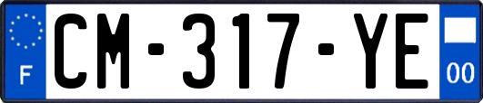 CM-317-YE