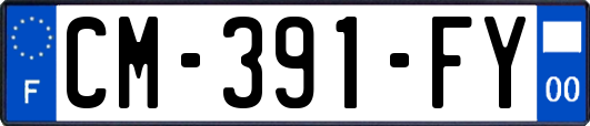 CM-391-FY