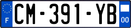 CM-391-YB