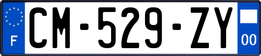 CM-529-ZY
