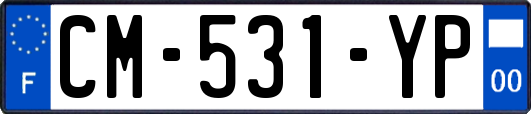 CM-531-YP