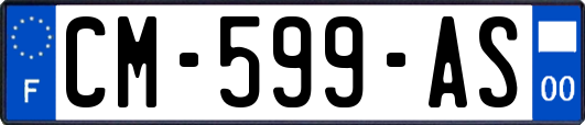 CM-599-AS