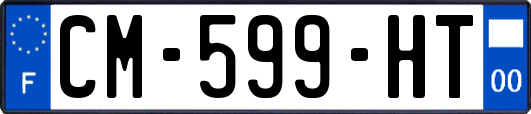 CM-599-HT