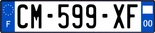 CM-599-XF