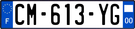 CM-613-YG