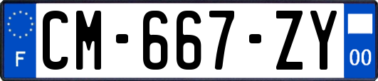 CM-667-ZY