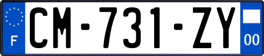 CM-731-ZY