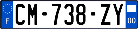 CM-738-ZY