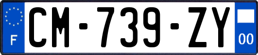 CM-739-ZY