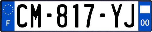 CM-817-YJ