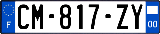 CM-817-ZY