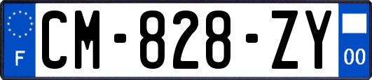 CM-828-ZY