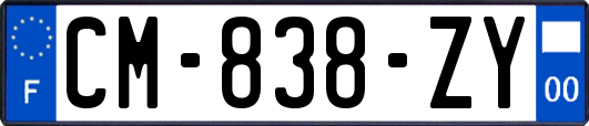 CM-838-ZY