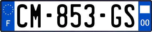 CM-853-GS