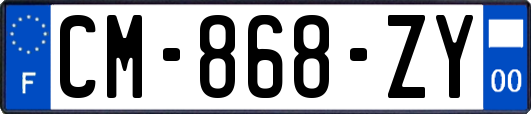 CM-868-ZY