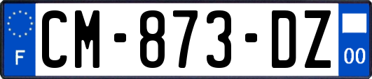 CM-873-DZ