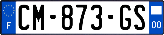 CM-873-GS
