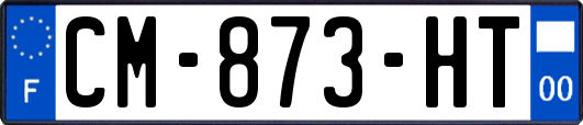 CM-873-HT
