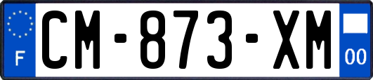 CM-873-XM