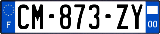 CM-873-ZY