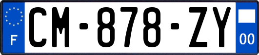 CM-878-ZY