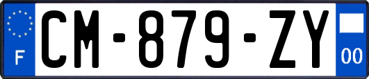CM-879-ZY