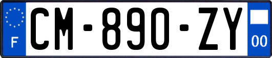 CM-890-ZY