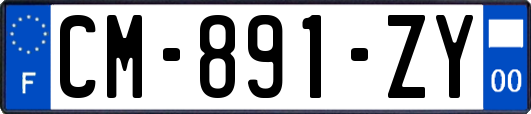 CM-891-ZY