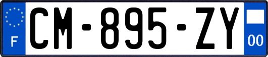 CM-895-ZY