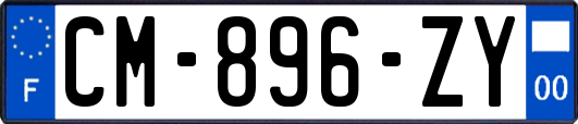 CM-896-ZY