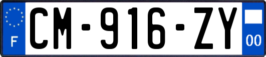 CM-916-ZY