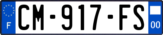 CM-917-FS