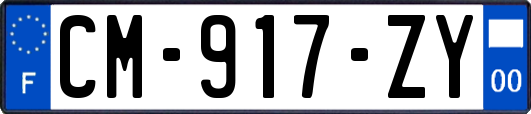 CM-917-ZY