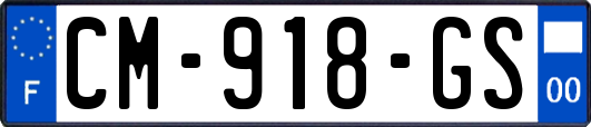 CM-918-GS