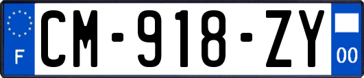 CM-918-ZY